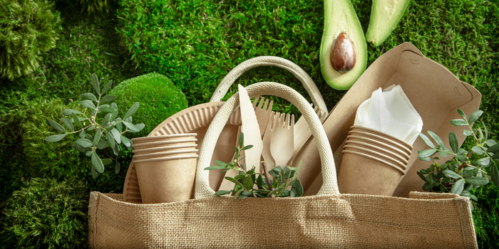 What Does “Biodegradable” Really Mean?