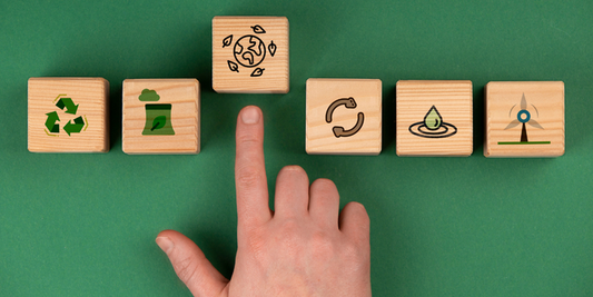 The Environmental Impact of Traditional Products vs Eco Alternatives