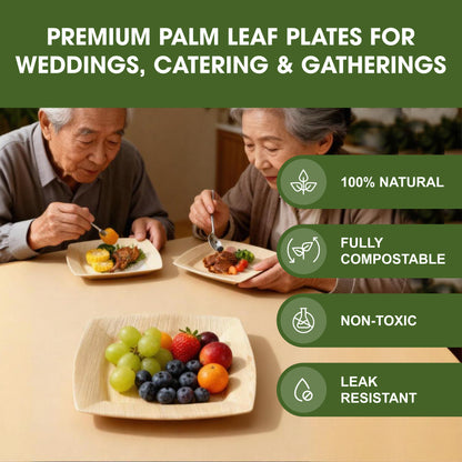 6 Inch Disposable Palm Leaf Snack Plates, Small Square Serving Plates for Appetizers, Desserts & Finger Food, Natural Leaf Tableware for Parties, Events, Catering & Home Use