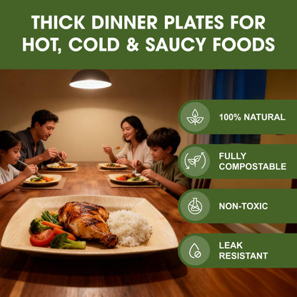 10 Inch Disposable Palm Leaf Dinner Plates - Natural Wooden-Style Disposable Plates for Hot & Cold Food